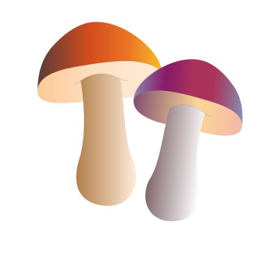 mantar çizimler vektör