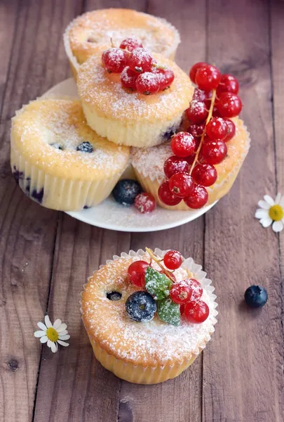 Blåbärsmuffins — Stockfoto