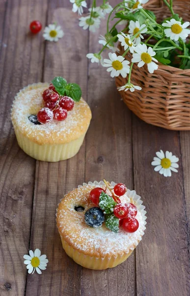 Borůvkové muffiny — Stock fotografie