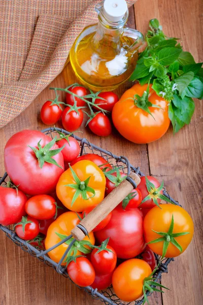 Tomatoes with herbs and oil — Stock Photo, Image