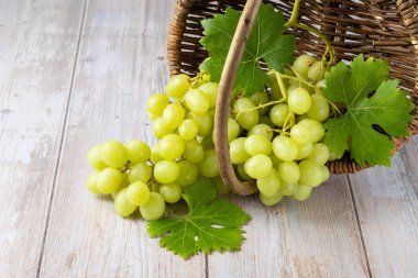 Taze yeşil üzüm tohumu hasat ediliyor hasat sepetinden dökülen yapraklarla eski ahşap masa üzerinde..