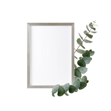 Boş gümüş ahşap çerçeveli fotoğraf, poster ya da beyaz arkaplanda okaliptüs dalları olan resim. Kopya alanı olan tatil modeli çiçek bahar kartı. 