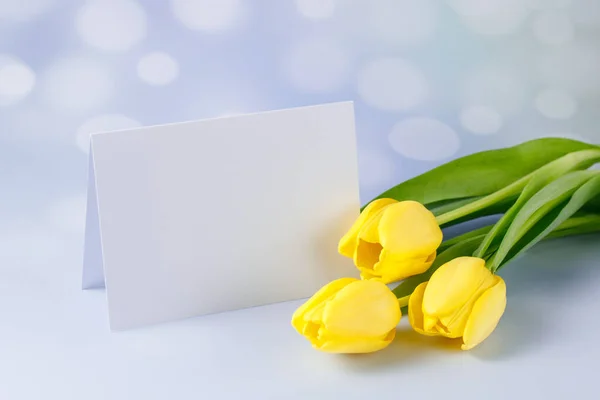 Gele Tulp Bloemen Met Blanco Wit Papier Kaart Lichte Achtergrond — Stockfoto