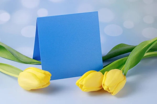 Blank Blue Paper Card Yellow Tulip Flowers Light Background Wedding — Stock Photo, Image