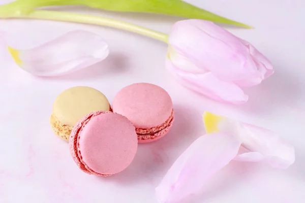 French Sweet Cookies Macarons Macaroons Tulip Flower Marble Background Pastry — Stock Photo, Image