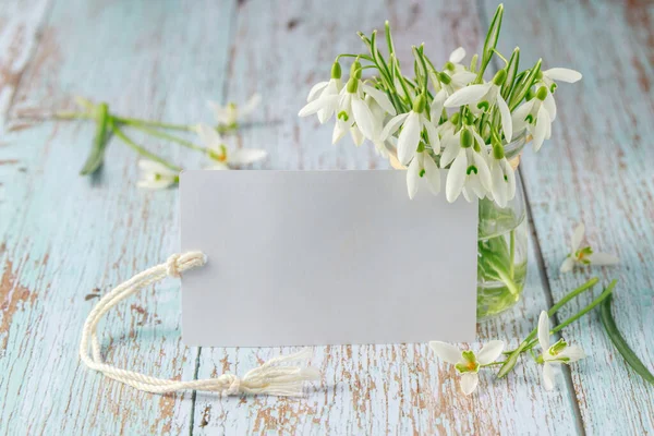 Hallo Lente Blanco Bloemen Vintage Kaart Eerste Wilde Witte Sneeuwdruppel — Stockfoto