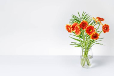 Çiçek açan turuncu sarı gerbera papatya çiçekleri masa üzerindeki cam vazoda iç duvarda. Kopyalama alanı olan açık mavi arkaplan. 