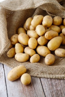 Tahta masadaki çuval bezinden düşen küçük sarı patatesler. Çiğ patates yığını