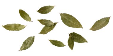 Aroma baharat kartı: kurumuş körfez yaprakları uçuşuyor. Beyaz arka planda izole edilmiş Aromatik baharatlı mutfak malzemeleri
