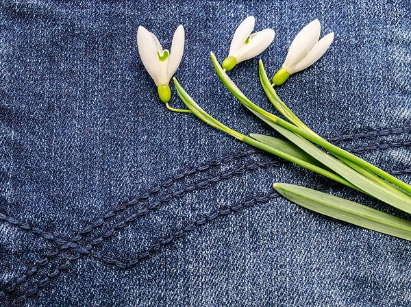 Blume auf blauem Stoff — Stockfoto