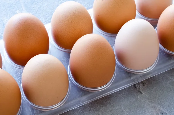 Яйца курица в лоток — стоковое фото