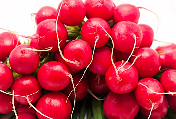 Garden radish — Stock Photo, Image