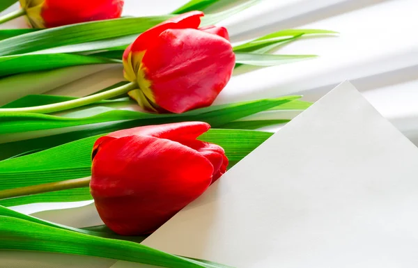 Tulpen auf Stoff mit Karte — Stockfoto