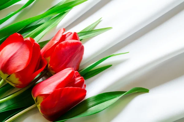 Tres tulipanes en tela —  Fotos de Stock