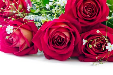 Bir buket kırmızı gül.