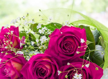 arka plandan pembe güller