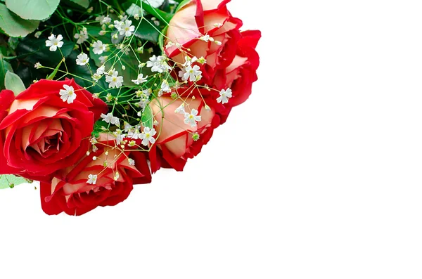 束玫瑰花的孤立 — 图库照片
