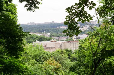 şehre karşı ağaçlar