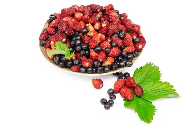 Bilberry ve izole bir tabak içinde yabani yabani çilek