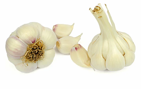 Two garlic on a white background — Stock Photo, Image