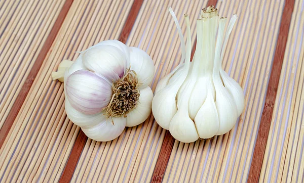Two garlic on a table — Stock Photo, Image