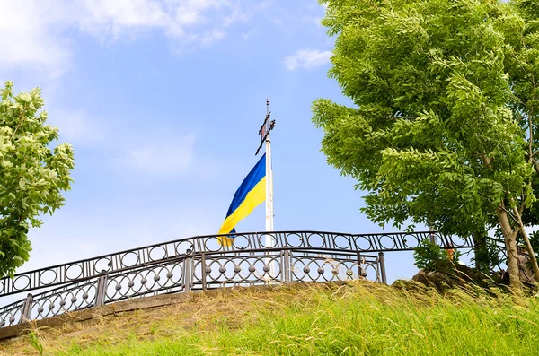 Flaggan på berget en hög Borg Lvov Royaltyfria Stockbilder