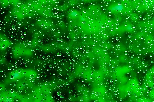 Rain drops at a window — Stock Photo, Image