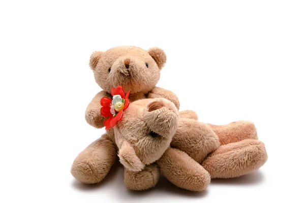 Two toy bears on a white background — Stock Photo, Image