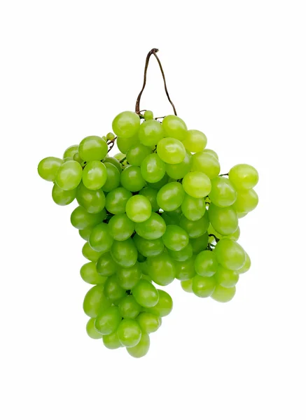 Uvas verdes sobre um fundo branco — Fotografia de Stock