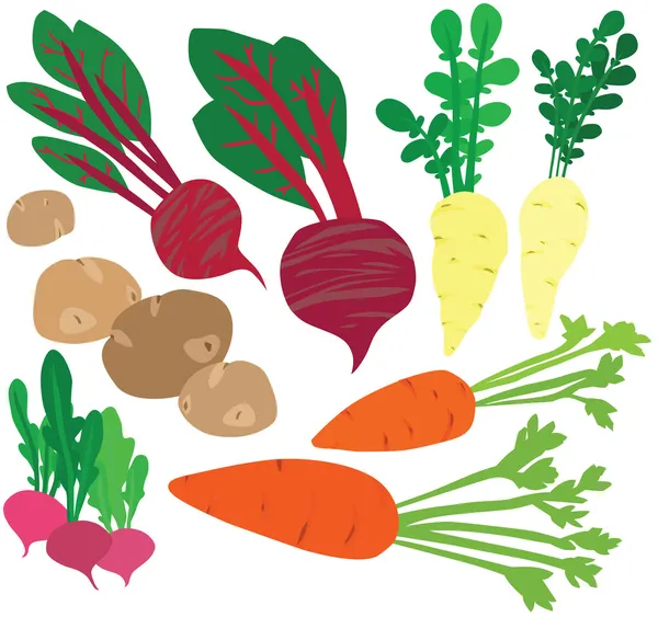 şık sağlıklı kış sebze seti