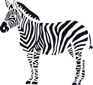 şık zebra