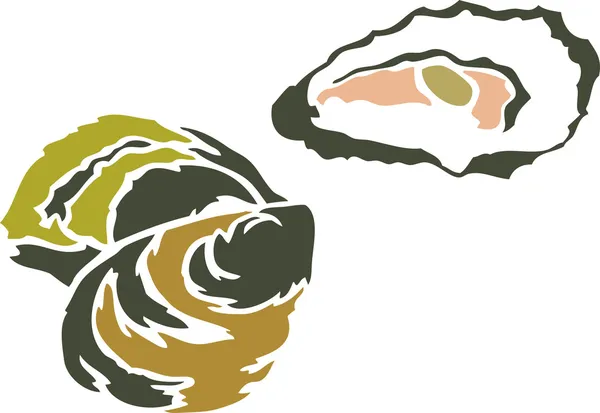 beyaz zemin üzerinde istiridye