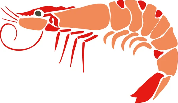 Stylish Prawn — Stock Vector