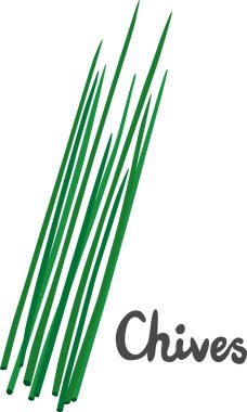 taze ot chives