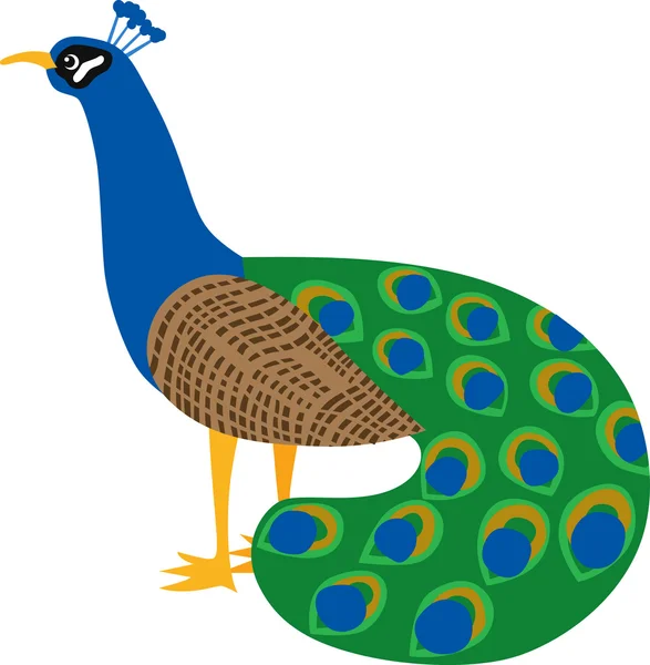 Mooie peacock — Stockvector