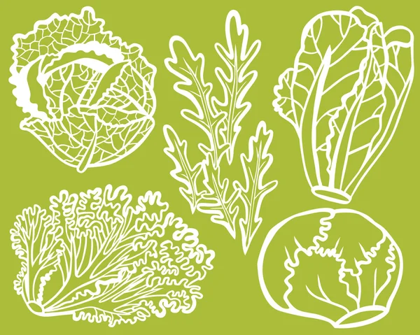 Cool Lettuce Selection Set — Stock Vector