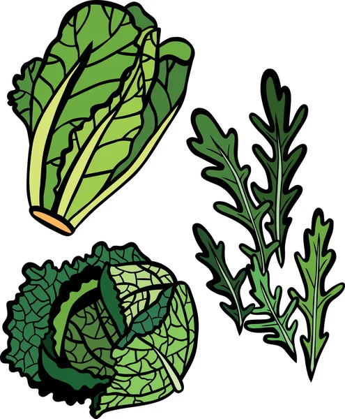 Cool Set de selección de lechuga — Vector de stock