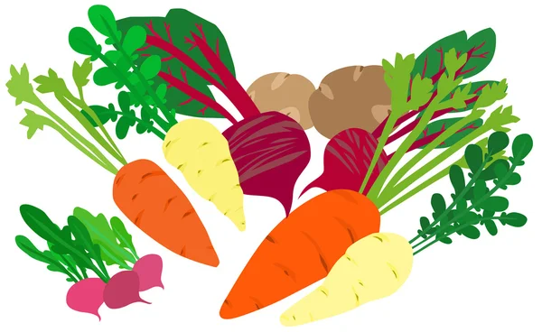 Vegetables Selection — Stock Vector