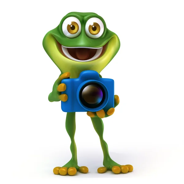 카메라와 개구리 — 스톡 사진