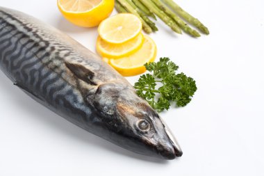 maydanoz ve limon ile ham uskumru