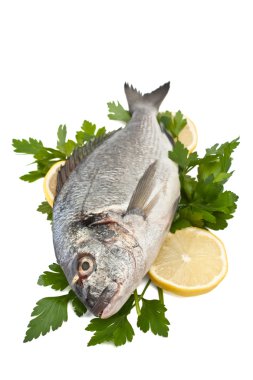ham dorado balığı hebs ve limon ile