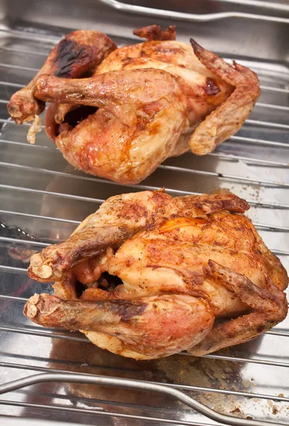 Two whole roasted chickens — Stock Photo, Image
