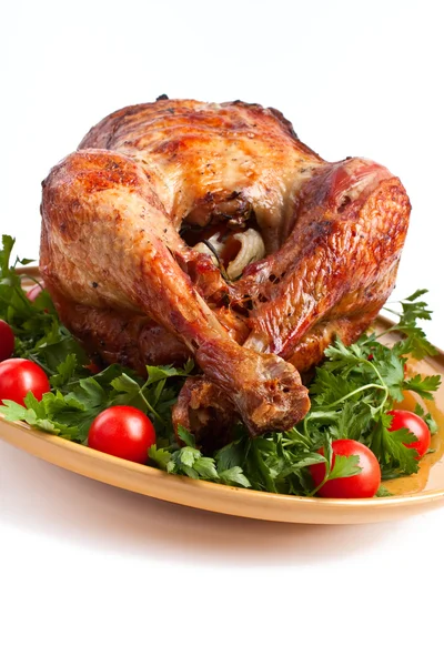 Isolated roasted turkey — Stock Photo, Image