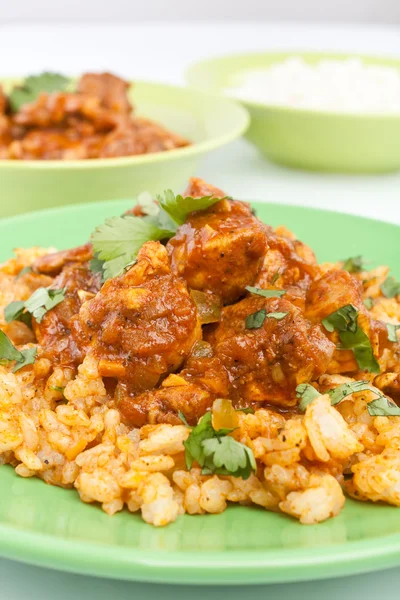 Hühnercurry mit Reis — Stockfoto