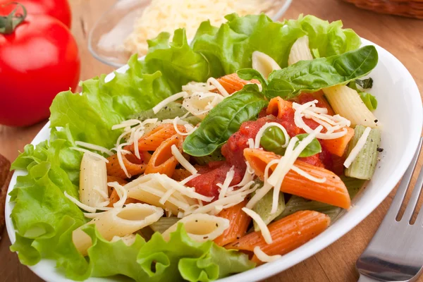 Portion de pâtes penne colorées avec sauce tomate et basilic — Photo