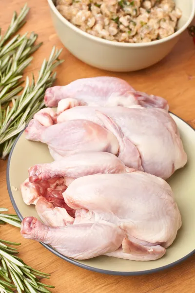 Raw turkey and chickens — Stock Photo, Image