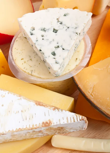 Çeşitli peynir türleri — Stok fotoğraf