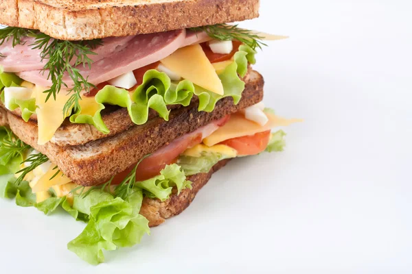 Duża kanapka na pełnoziarnistym chlebie — Zdjęcie stockowe