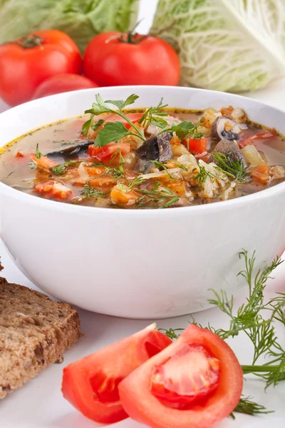 Zupa z kapusty i grzybów — Zdjęcie stockowe