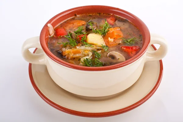 Vegetable and mushroom soup — Stock Photo, Image